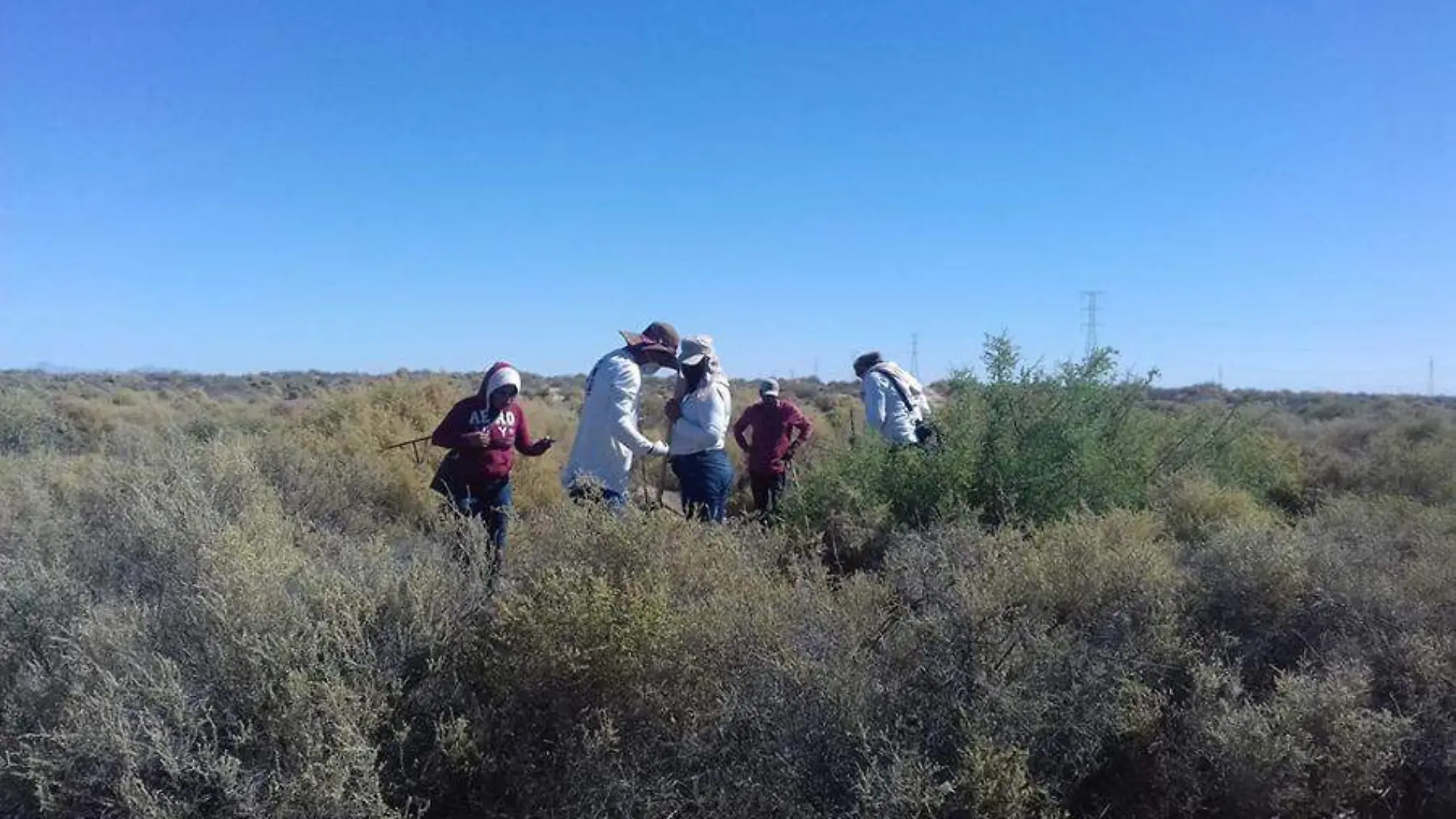 Restos humanos Peñasco